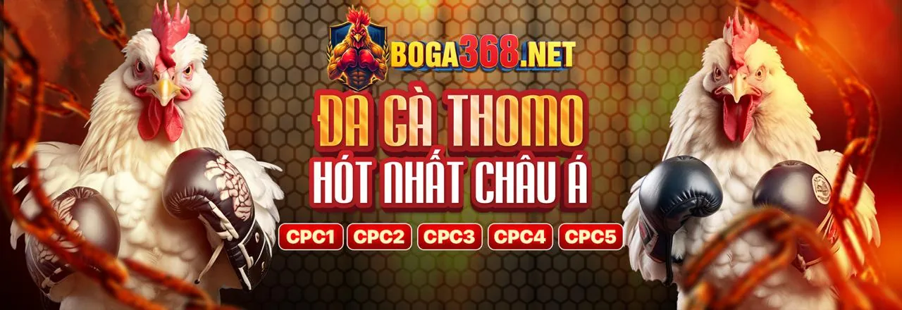 Nền tảng Thabet88 với các trò chơi giải trí trực tuyến hấp dẫn