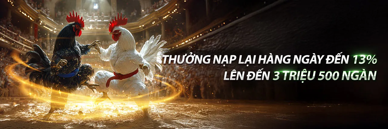 Sân vận động lớn với đèn sáng và khán giả, biểu tượng cho cá cược thể thao sôi động tại Thabet88